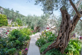 Rustic Olive House
